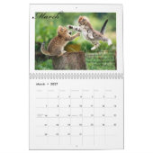 Kittens & Quotes 2009 Calender Kalender (Mar 2027)