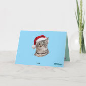 Kittens ritje feestdagen kaart (Achterkant)