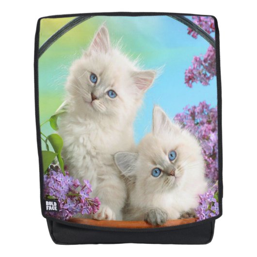 Kittens Rugtassen (Voorkant)
