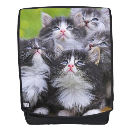 Kittens Rugtassen (Voorkant)