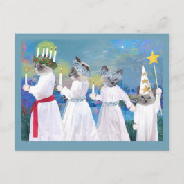 Kittens' Santa Lucia Procession Briefkaart