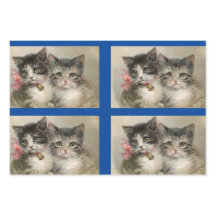  Kittens set van 3