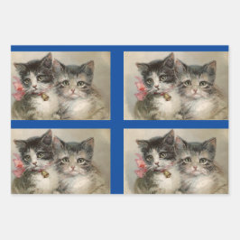 Kittens set van 3 Inpakpapier Vel