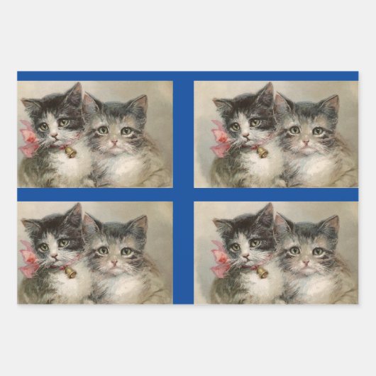  Kittens set van 3 Inpakpapier Vel (Voorkant)