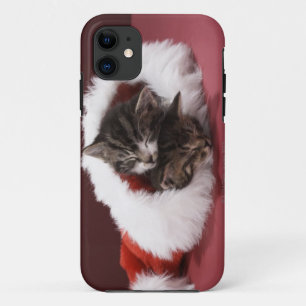 Kittens slapen samen in het kerstpet iPhone 11 hoesje