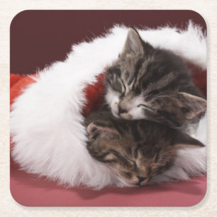 Kittens slapen samen in het kerstpet vierkante kartonnen onderzetter