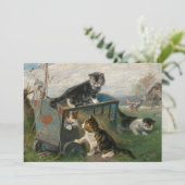 Kittens spelen | Julius Adam de Jongere (Staand voorkant)