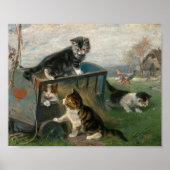 Kittens spelen | Julius Adam de Jongere Poster (Voorkant)