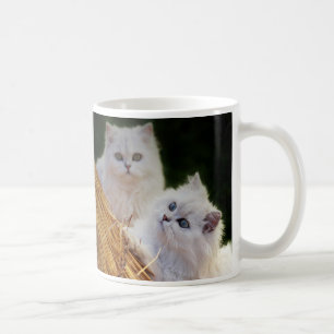 Kittens spelen koffiemok