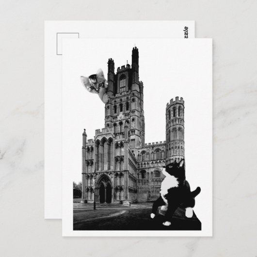 Kittens spelen op Ely Cathedral Briefkaart (Voorkant / Achterkant)