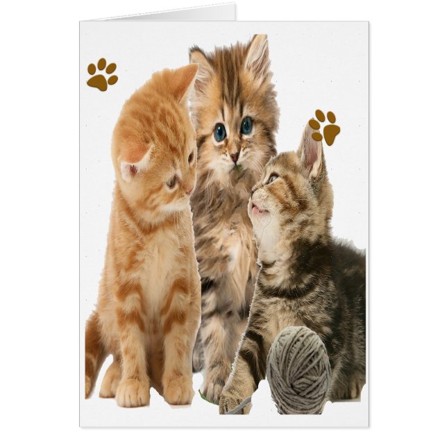 Kittens spelen t-shirts (Voorkant)