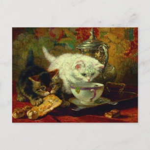 Kittens Tea Party Briefkaart