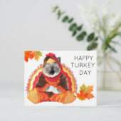 Kittens Thankesgiving Carte postale de la fête de  (Debout devant)