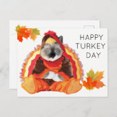 Kittens Thankesgiving Carte postale de la fête de  (Devant / Derrière)