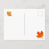 Kittens Thankesgiving Carte postale de la fête de  (Dos)