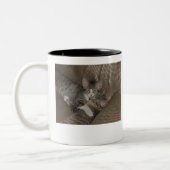Kittens Tweekleurige Koffiemok (Links)