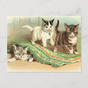 Kittens Verbergen en zoeken Briefkaart