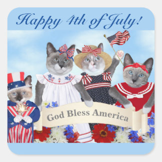 Kittens Vierde juli Square Stickers