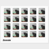 Kittens Vierkante Sticker (Vel)