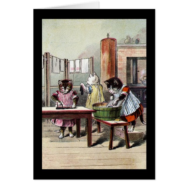 Kittens wassen hun Mittens (Voorkant)