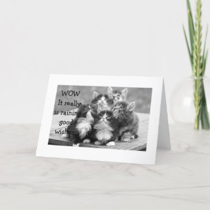 KITTENS ZIJN HET ER ALLEMAAL OVER EENS DAT JE EEN KAART