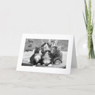 KITTENS ZIJN HET ER ALLEMAAL OVER EENS DAT JE EEN KAART