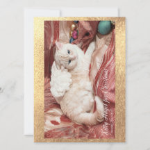 Kittie Engel voor Kerstmis