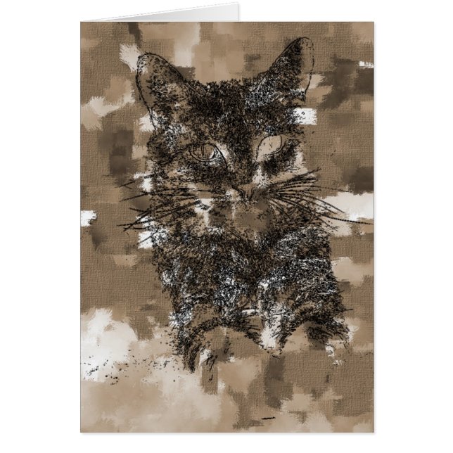 Kitty (Voorkant)