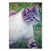 Kitty All Occasion Card (Devant)