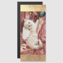 Kitty Angel for Christmas