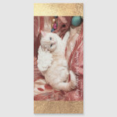 Kitty Angel for Christmas (Voorkant)