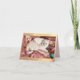 Kitty Angel for Christmas Aankondiging