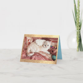 Kitty Angel for Christmas Bedankkaart