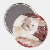 Kitty Angel for Christmas Magneet (Voorkant / Achterkant)