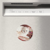 Kitty Angel for Christmas Magneet (Insitu (Vaatwasser))