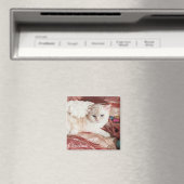 Kitty Angel for Christmas Magneet (Insitu (Vaatwasser))