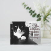 Kitty Attitude - Aller de l'avant, faire ma carte  (Debout devant)