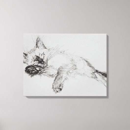 Kitty 'Baby' Canvas Afdruk (Voorkant)
