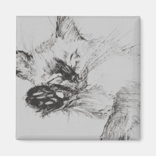 Kitty 'Baby' Magneet (Voorkant)