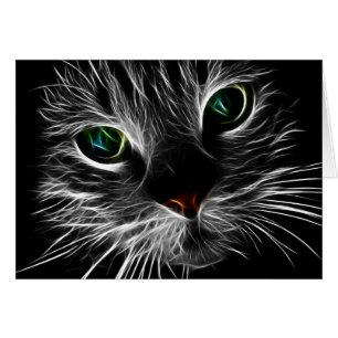 Kitty blanc font face à la fractale Kitty du