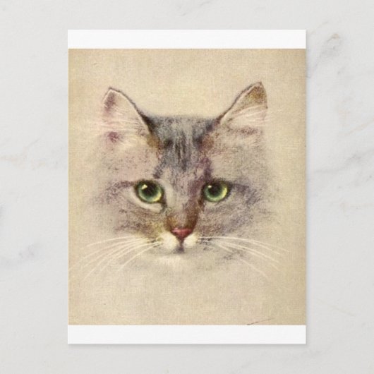 Kitty Briefkaart (Voorkant)