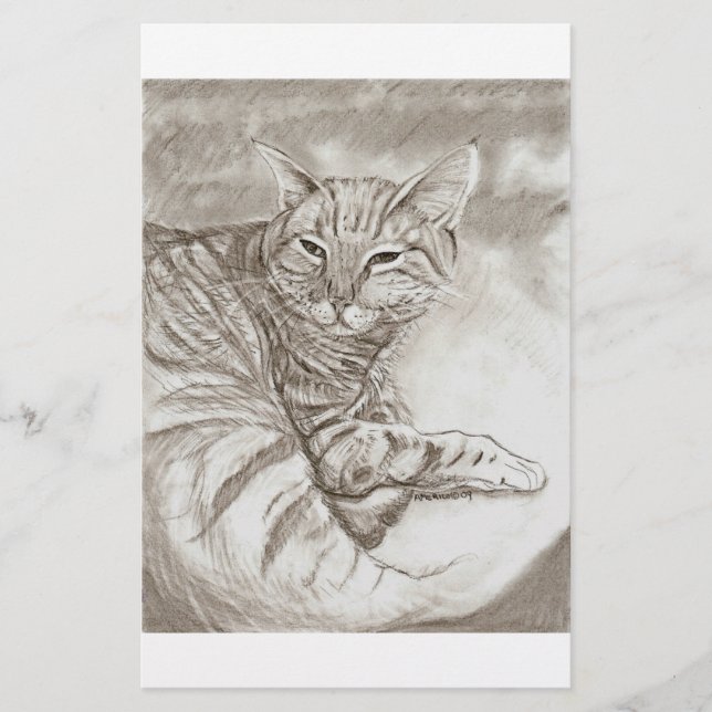 Kitty Cat (Voorkant)