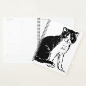 Kitty Cat Beaux-Arts (Devant avec enveloppe)