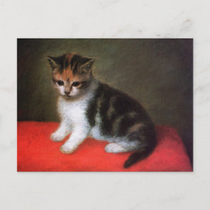 Kitty Cat Briefkaart: Kitten door George Stubbs Briefkaart