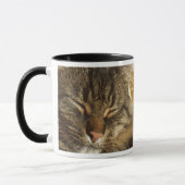 Kitty Cat Coffee Mok (Links)