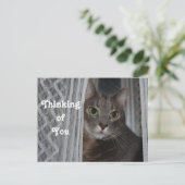 Kitty Cat denkt aan je Briefkaart (Staand voorkant)