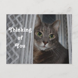 Kitty Cat denkt aan je Briefkaart