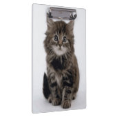 KITTY CAT KLEMBORD (Rechts)