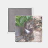 Kitty Cat koelkast Magnet Magneet (Voorkant / Achterkant)