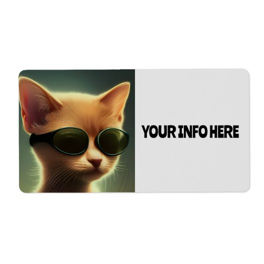 KITTY CAT LUNETTES DE SOLEIL GRANDS ÉTIQUETTES DE  (Devant)